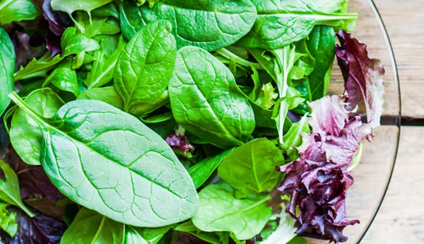 principii-raw-vegan-camara-cu-merinde